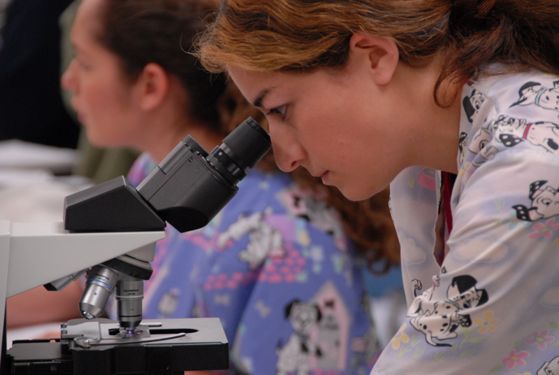 Person Looking Thru Microscope