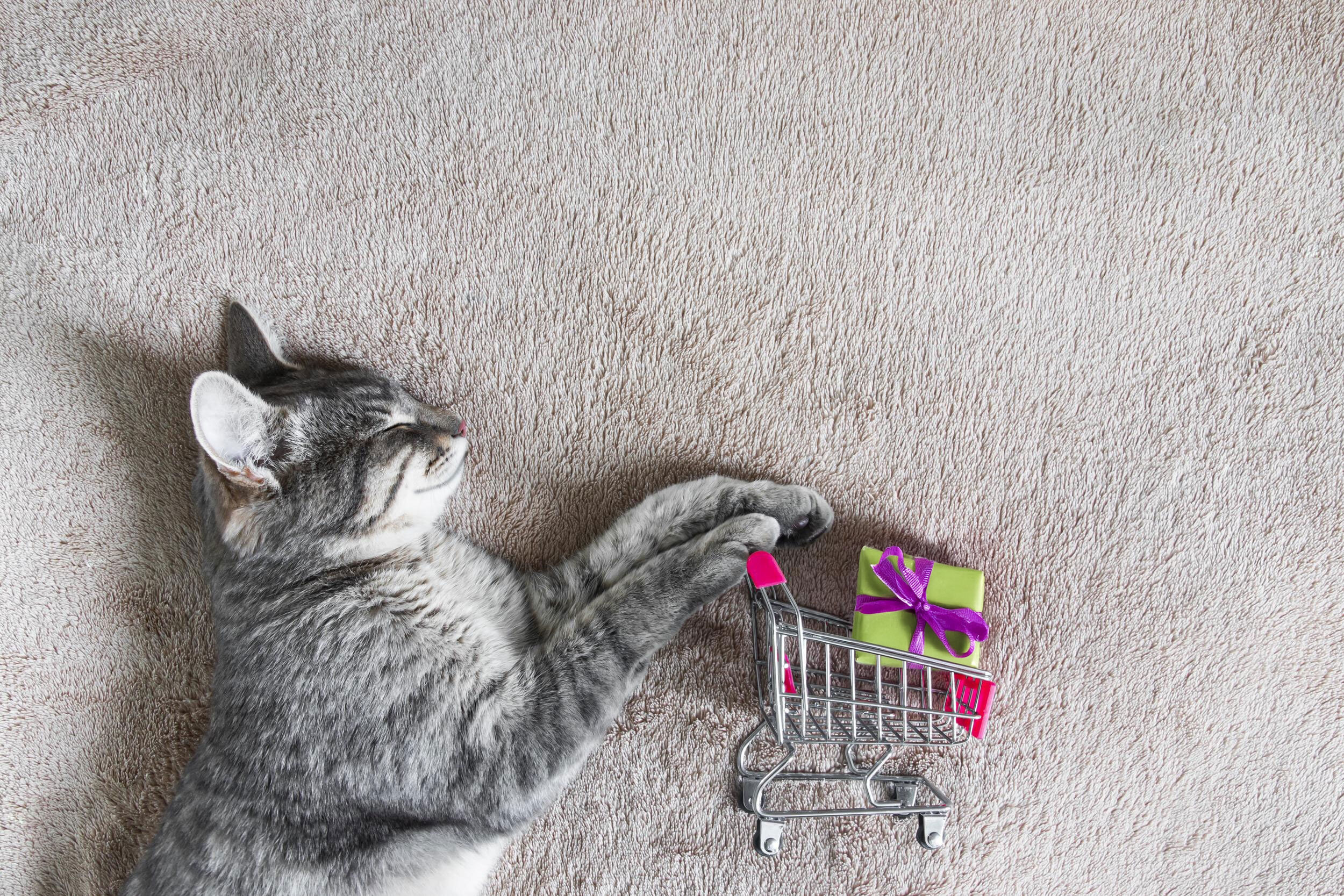 Cat with Shopping Cart